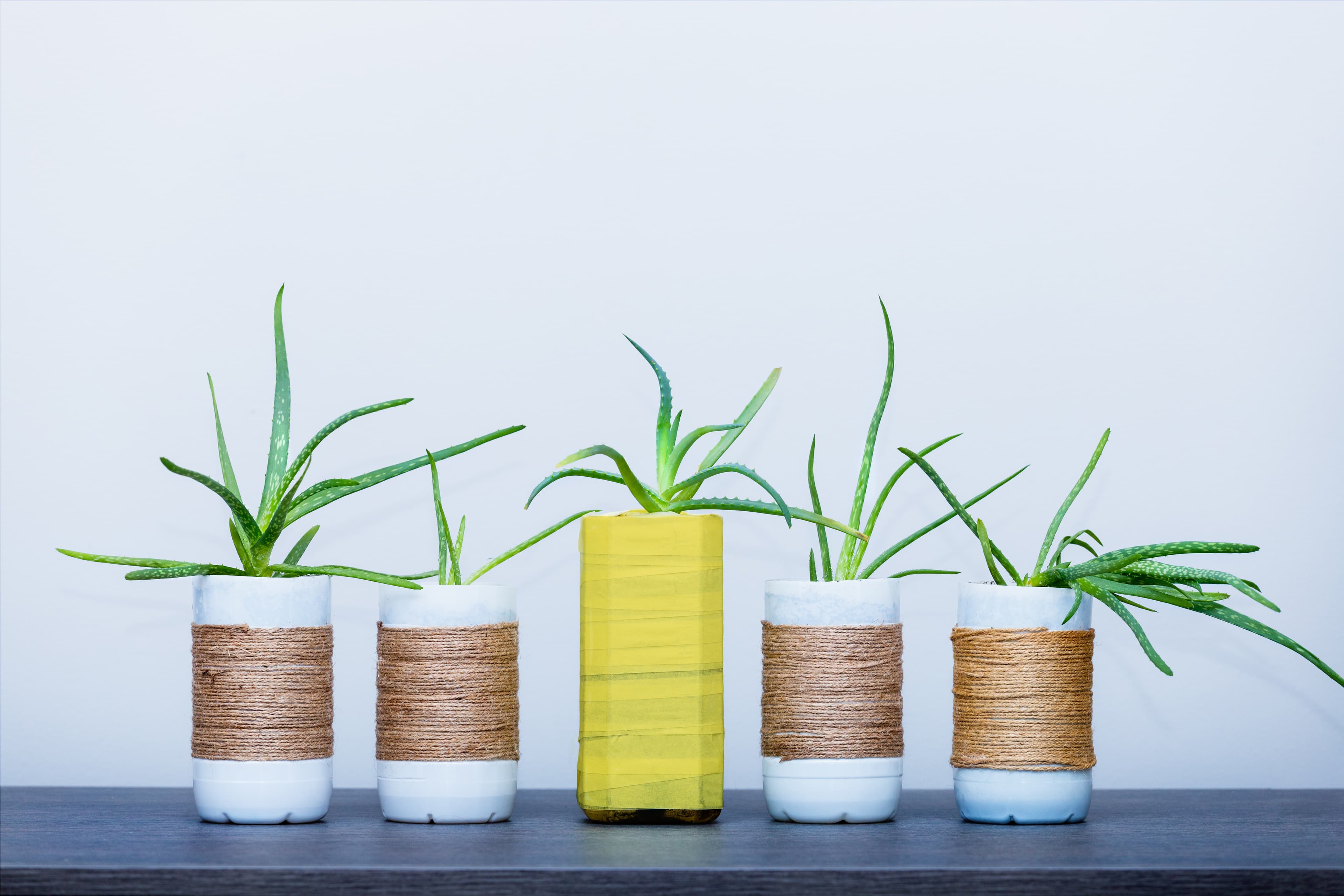 Reciclaje: de lo viejo a lo nuevo