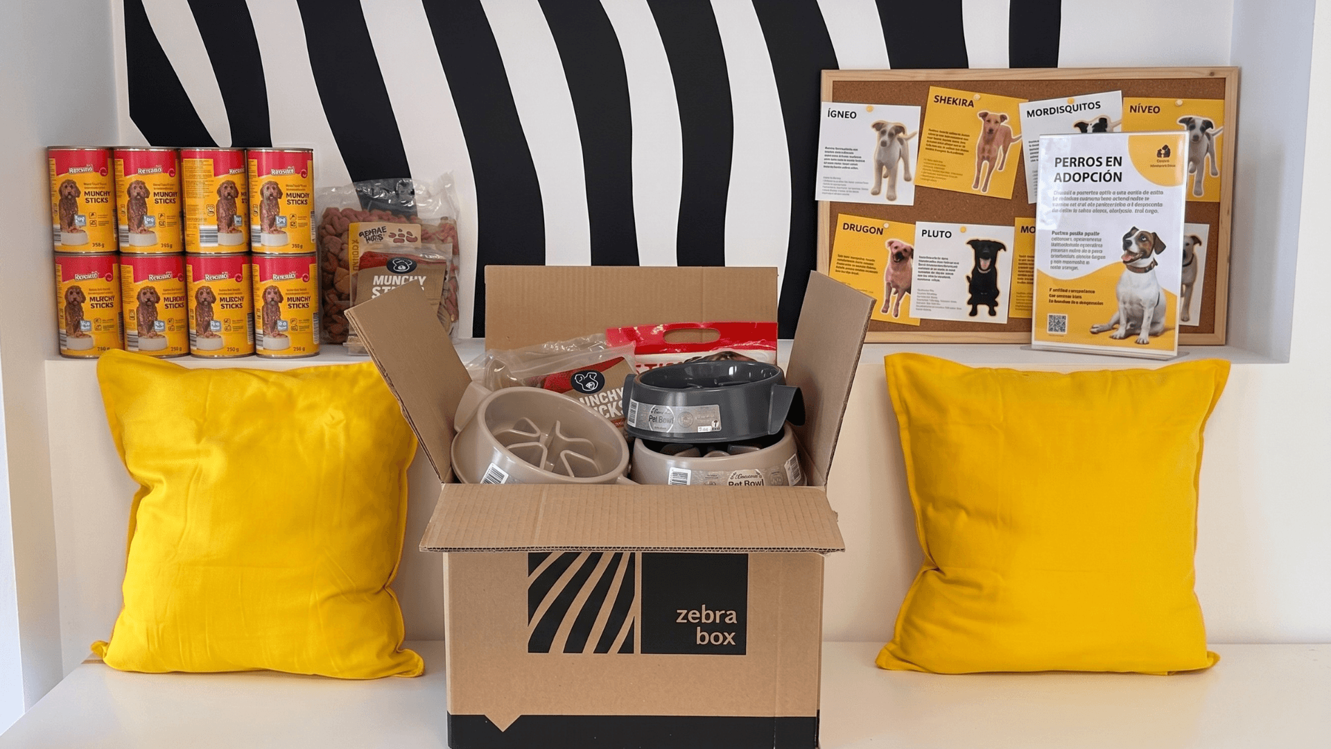 Charity initiative with Amigos Peludos Bajo Cinca